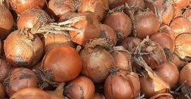 Vendo cebollas rojas y amarillas, tanto de campo como