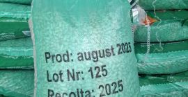 Fasole alba sac 10 kg calitatea A origine Egipt