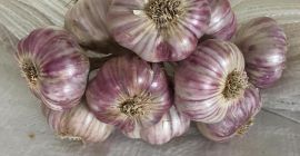 Venderé ajo, siberiano, etc., dependiendo del tamaño de la