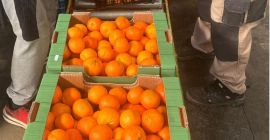 Mandarinas frescas de primera calidad disponibles al por mayor.