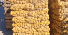 Papas amarillas en venta, más de 50 calorías, en