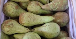 Vendo conferencias clasificadas de 6.5 a 8, medianas de