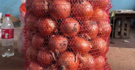 Vendo cebollas RHINO. Disponibles en paquetes de 150 toneladas.