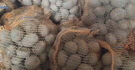 Tengo papas wineta y jolly en venta, las recomiendo