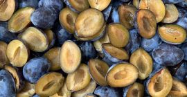 Mitades de ciruelas congeladas IQF para procesamiento industrial y