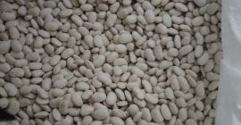 Hola, tenemos judías verdes enanas a la venta. Están