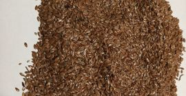 Ofrecemos semillas de lino marrón Bio con una pureza