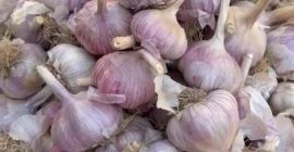 Me llamo Nurlybek y represento a KZ EXPORT. Nos