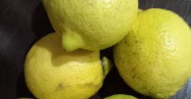 Limones sin tratar