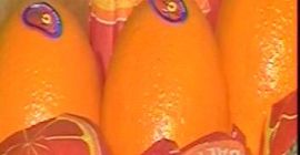 Estimado señor y señora, Somos una empresa comercial egipcia