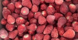 Fresas Congeladas de Kirguistán (IQF). Nuestras fresas congeladas se