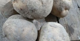 Vendo patatas comestibles de las siguientes variedades: Queen Anna,