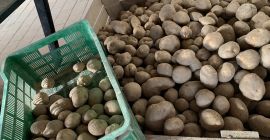 Soy empresario privado y administro una granja en Polonia