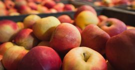 Mere Idared de vânzare. Pietrari, Dâmbovița. Disponibil aproximativ 5