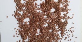 Vendemos lino marrón directamente del fabricante. FCA Kazajistán.