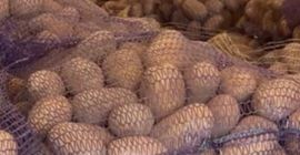 Vendo papas comestibles de las siguientes variedades: Gala, Queen