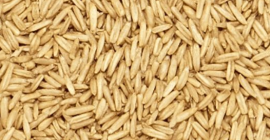 Vendo Avena Producción 2025, 35 lei/bolsa 3 dobles. Săpata,