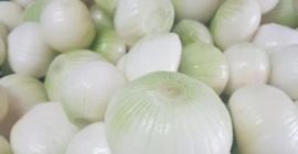 Buenos días. Busco establecer una colaboración a largo plazo