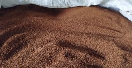 Vendo semillas de onagra, cosecha 2025, semillas secas sin