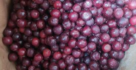 Vendo cerezas congeladas, bolsa de 25 kg.