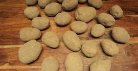 Vendo 500 toneladas de papas Fontane en cajas. Para