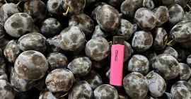 Todos nuestros productos están libres de OGM, se producen