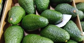 AGUACATE VARIEDAD HASS CON OPTIMO ESTADO DE MADUREZ. CALIBRES