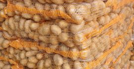 Vendo papas Gala 45+. Son lavables y vienen en