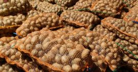 Papas rojas y blancas de consumo en venta, en