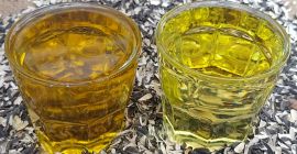 Aceite de girasol, harina y tortas de girasol desde