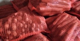 Hola, vendo zanahorias en bolsas, 10 PLN por bolsa,