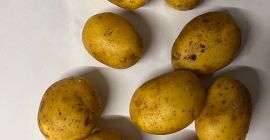 Tengo 10 variedades de papas fritas comestibles y papas