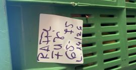 Empresa Fuji 65/75 en la provincia de Udine, Italia