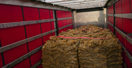 Ziemniaki Vinieta Pakowane worek 10 lub 15 kg Kaliber