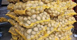 Ziemniaki jadalne Soraya. Marchew Pietruszka Buraczki Sprzedam ziemniaki jadalne