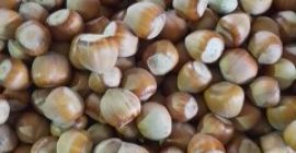 Vendo avellanas, aproximadamente 500 kg, cosecha 2025