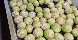 Vendo apio lavado con cepillo, calibre 0,4-1,2 kg. Envasado