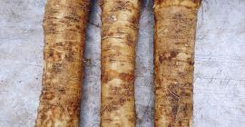 Rábano picante mixto de 6 a 700 kg para