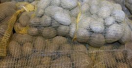 Tengo 24 toneladas de patatas de consumo PARADISO a