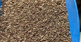 Una finca con muchos años de experiencia en el