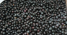 Fresas y arándanos congelados IQF Origen: Bielorrusia Ofrecemos fresas