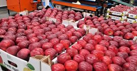 Продажа яблок из Молдовы — высокое качество, свежий урожай