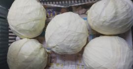 Vendo 10 toneladas de repollo blanco: 7 toneladas de
