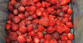 Fresa congelada de origen serbio, variedad Viktoria, cantidad disponible: