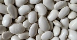 Tengo frijoles JAŚ a la venta en tamaños 85-90