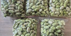 Habas frescas: ¡venta al por menor y al por
