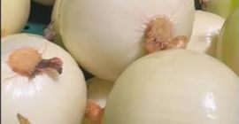 Vendo cebollas peladas. Busco establecer una colaboración con compradores.