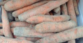 Zanahorias polacas ecológicas. Certificadas ecológicas. De primera calidad. Firmes
