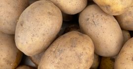 Patatas Lily en venta, en cantidades de camión completo,