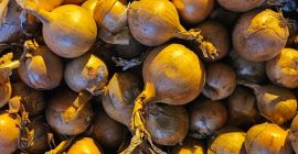 Vendo cebollas. Para más información, llame al [número de